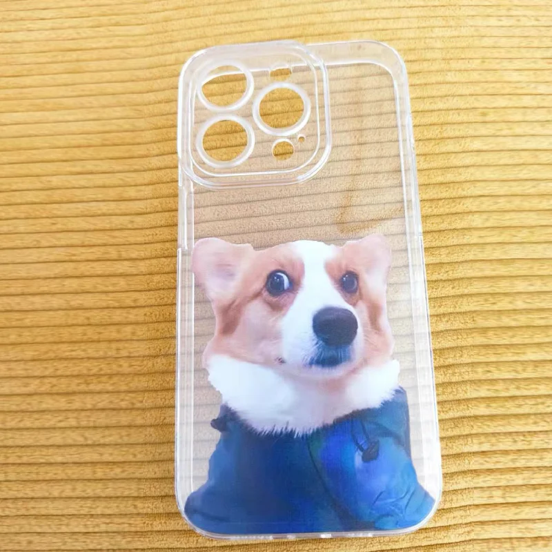 재미있는 강아지 폰 케이스 아이폰 17 16 15 11 - Phone Cases Quirky 리뷰 및 가격